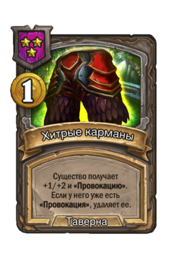 Заклинание «Хитрые карманы»