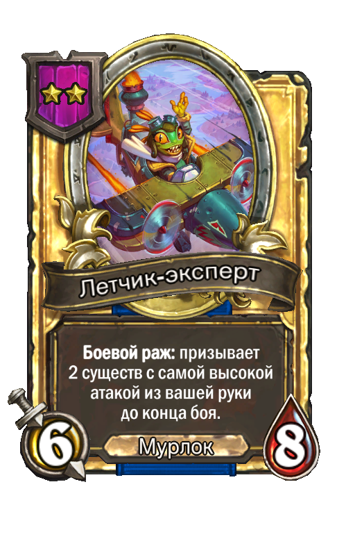 Золотая карта «Летчик-эксперт»